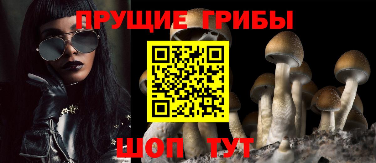 Галлюциногенные грибы прущие грибы Донецк