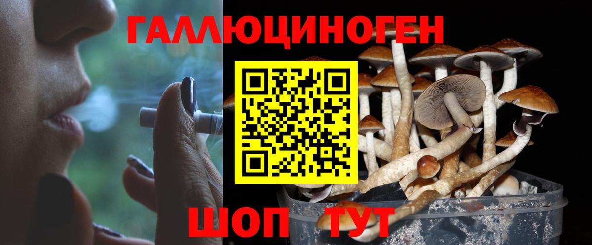 Донецк  Псилоцибиновые грибы Cubensis  Вход с VPN  Псилоцибиновые грибы Cubensis 